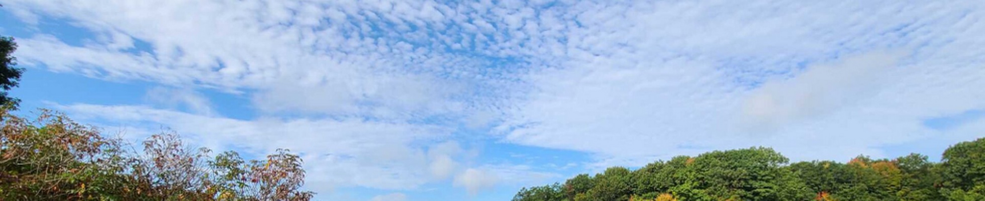 Company banner showing Visual Corporation branding