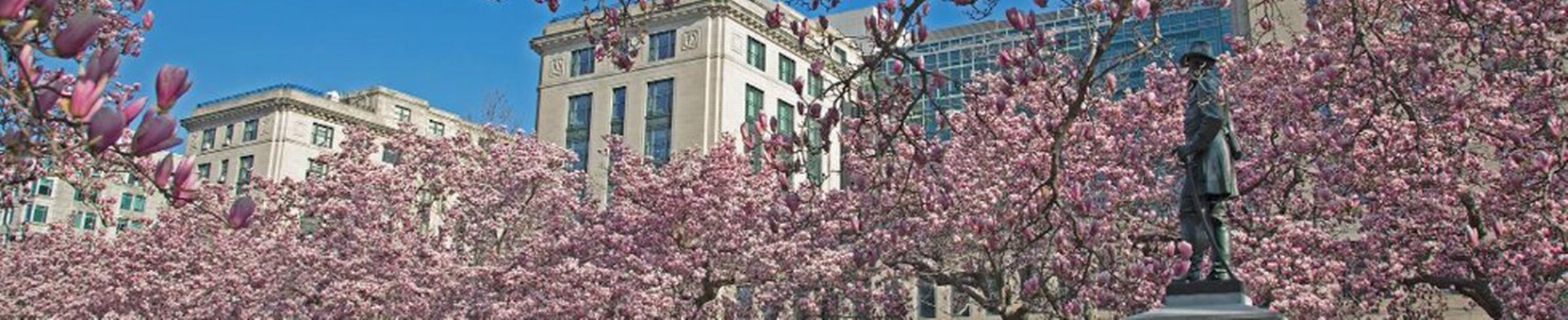 Company banner showing Visual Corporation branding