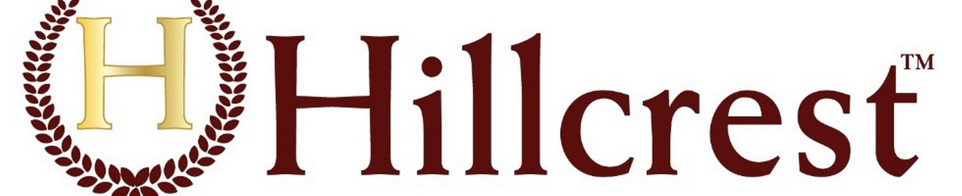 Company banner showing Visual Corporation branding