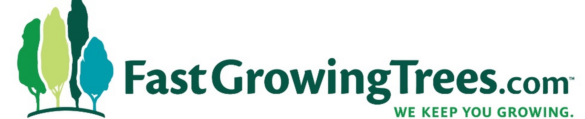 Company banner showing Visual Corporation branding
