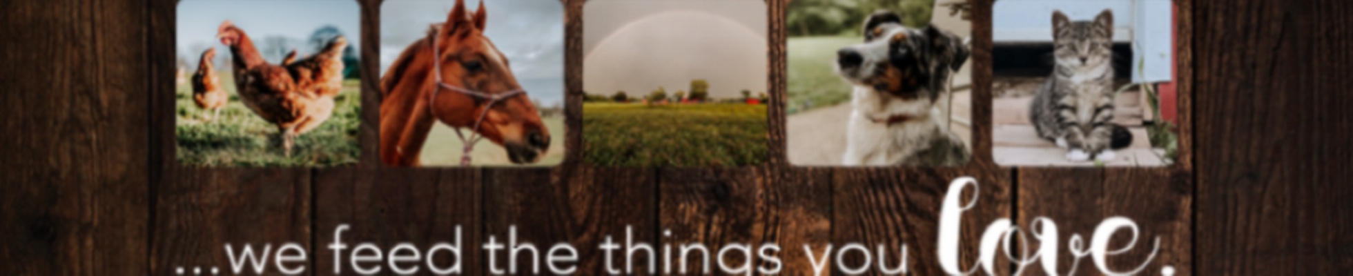 Company banner showing Visual Corporation branding