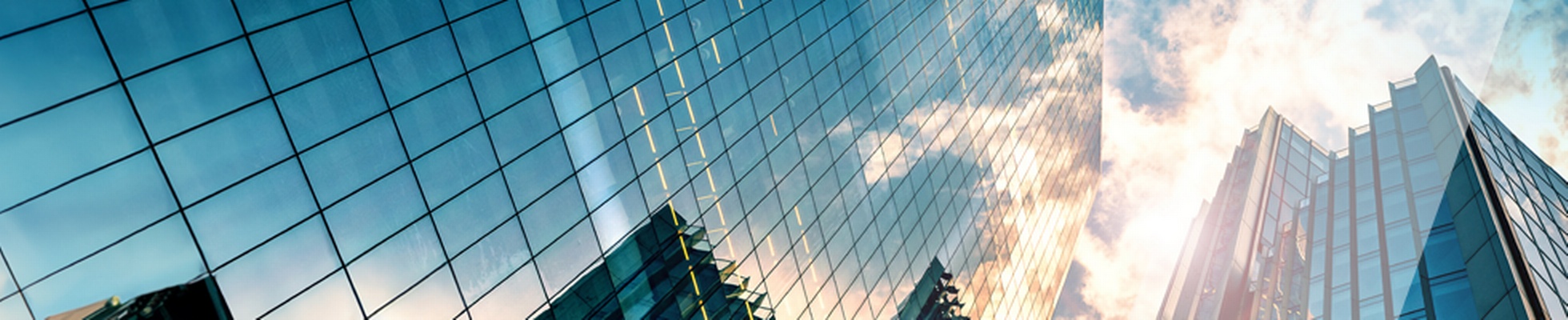 Company banner showing Visual Corporation branding