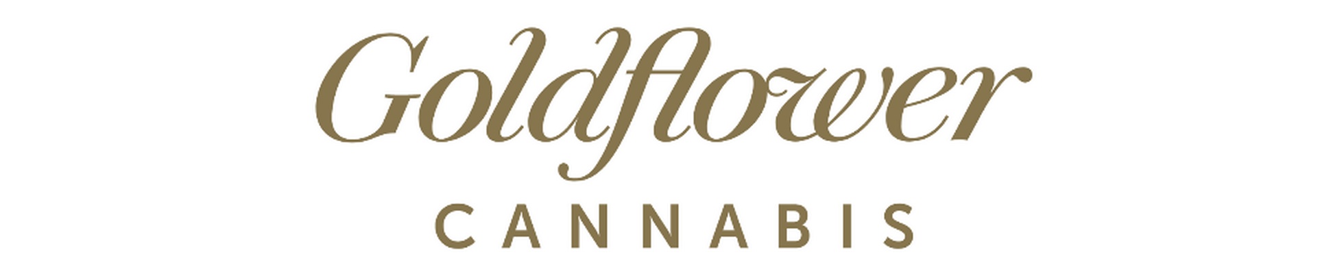 Company banner showing Visual Corporation branding