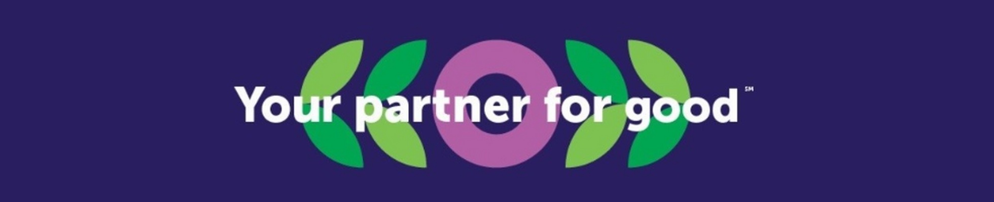 Company banner showing Visual Corporation branding