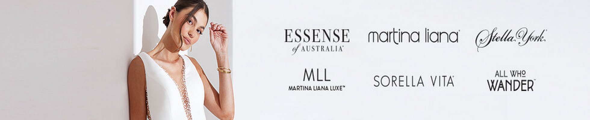 Company banner showing Visual Corporation branding
