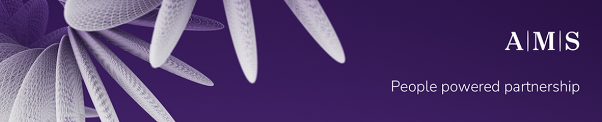 Company banner showing Visual Corporation branding