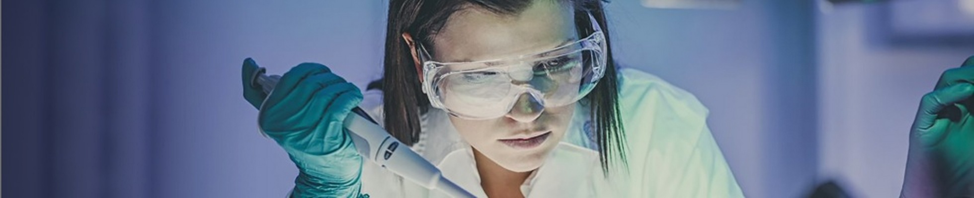 Company banner showing Visual Corporation branding