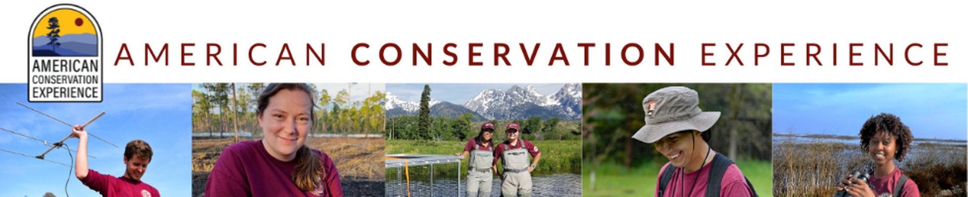 Company banner showing Visual Corporation branding