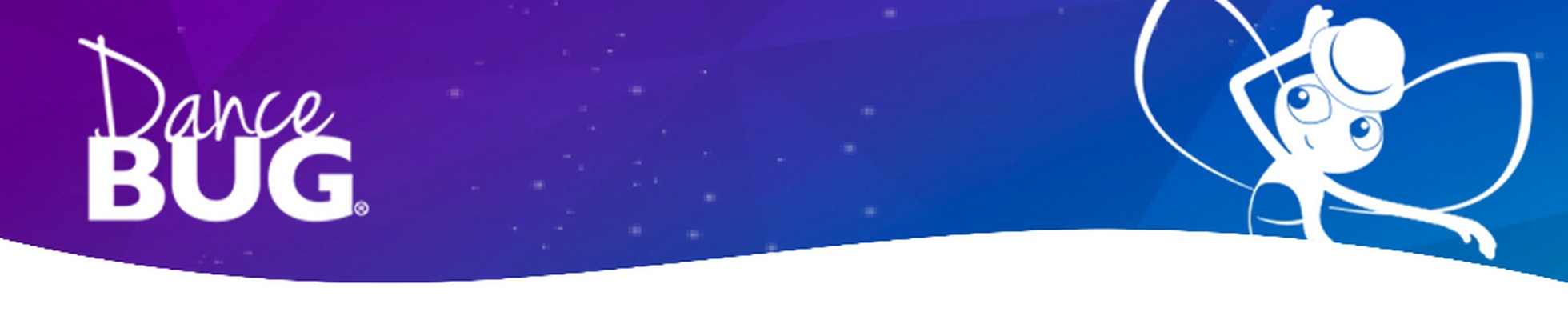 Company banner showing Visual Corporation branding