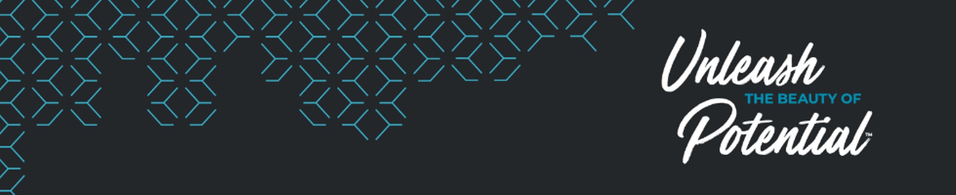 Company banner showing Visual Corporation branding