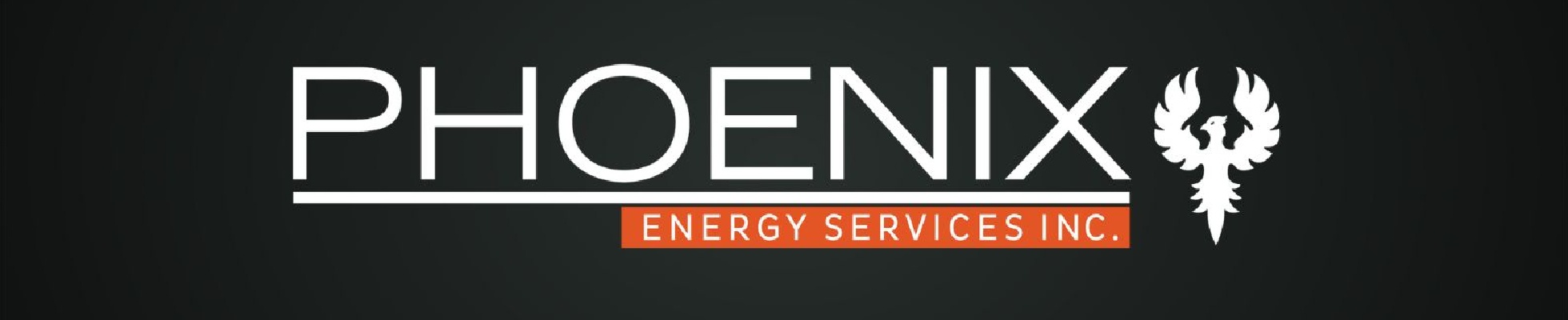 Company banner showing Visual Corporation branding