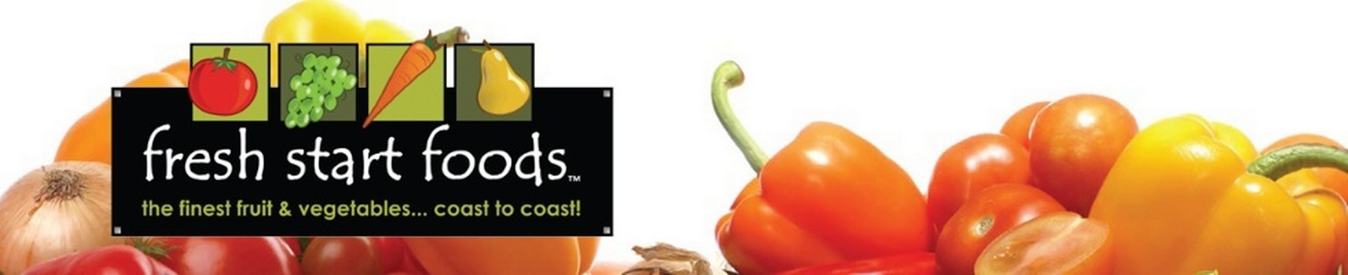 Company banner showing Visual Corporation branding