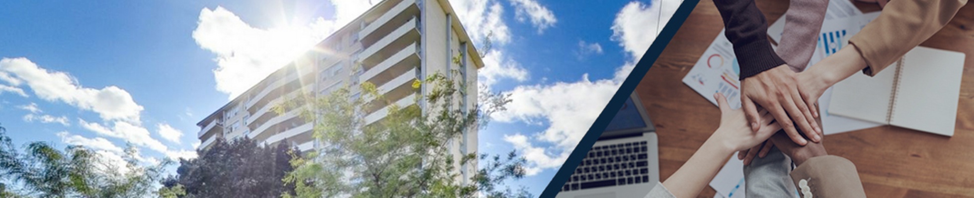 Company banner showing Visual Corporation branding