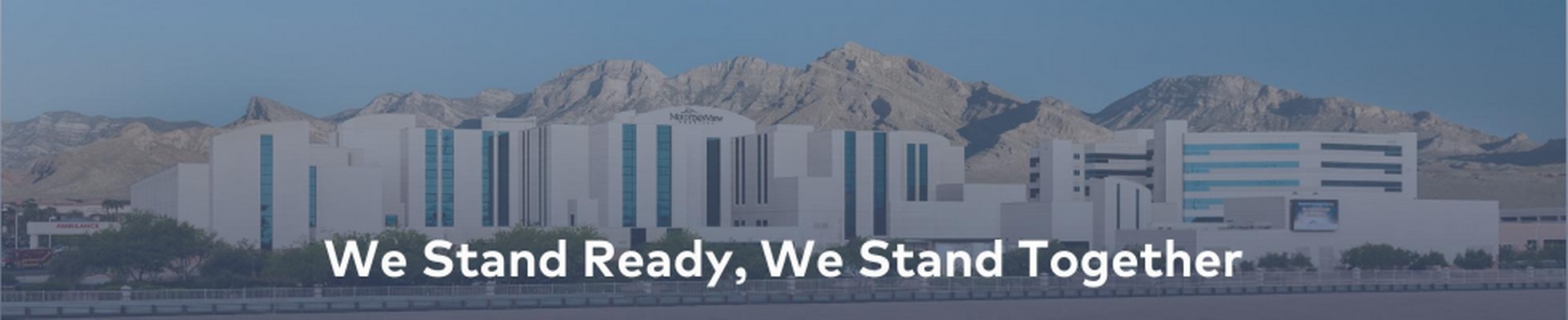 Company banner showing Visual Corporation branding