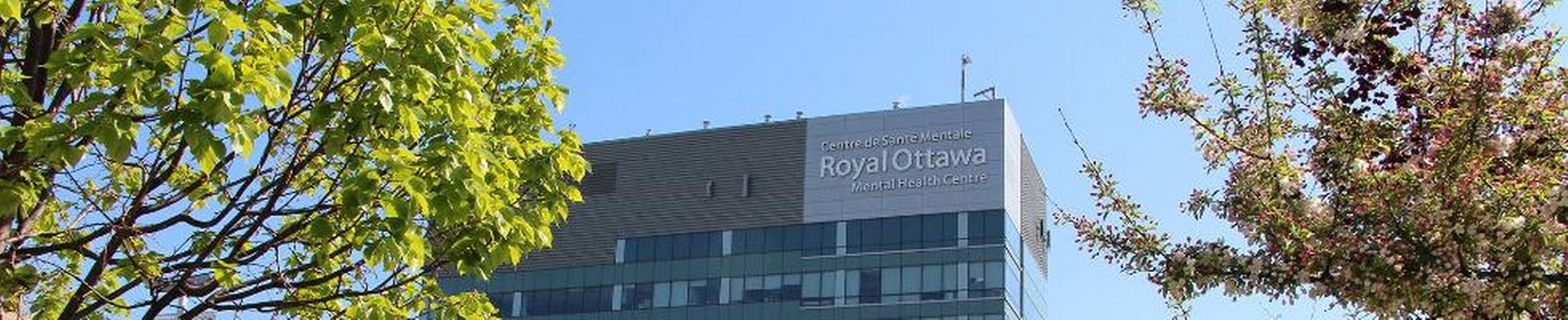 Company banner showing Visual Corporation branding