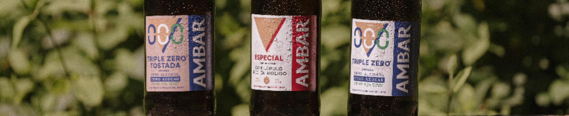 Company banner showing Visual Corporation branding