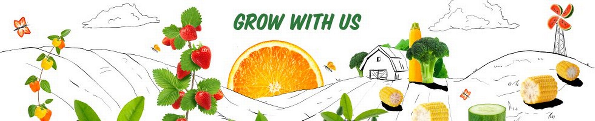 Company banner showing Visual Corporation branding