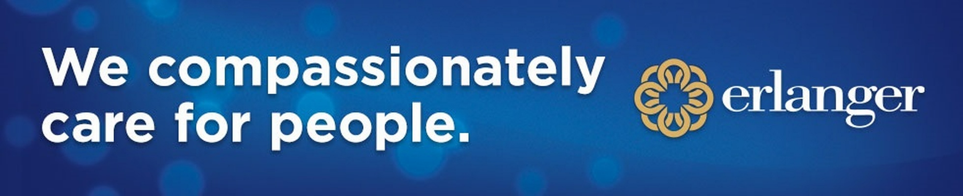 Company banner showing Visual Corporation branding