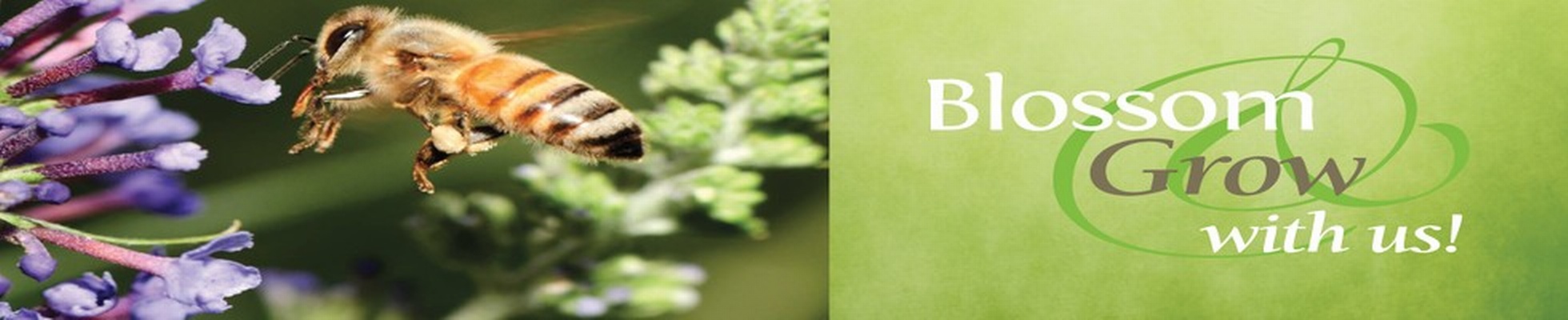 Company banner showing Visual Corporation branding