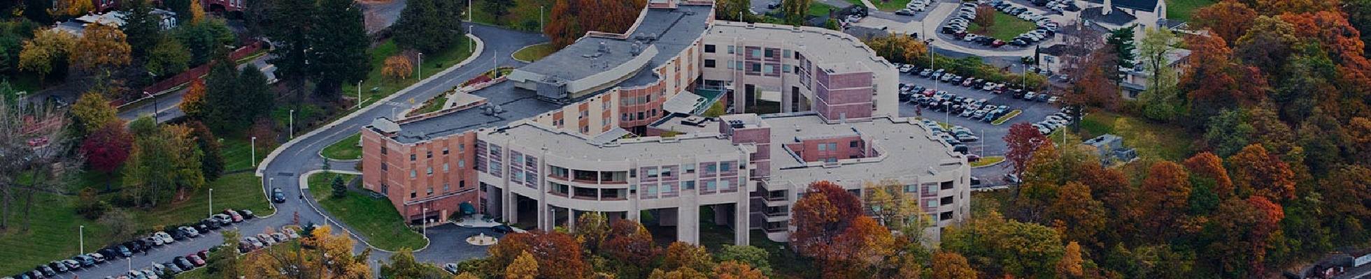 Company banner showing Visual Corporation branding