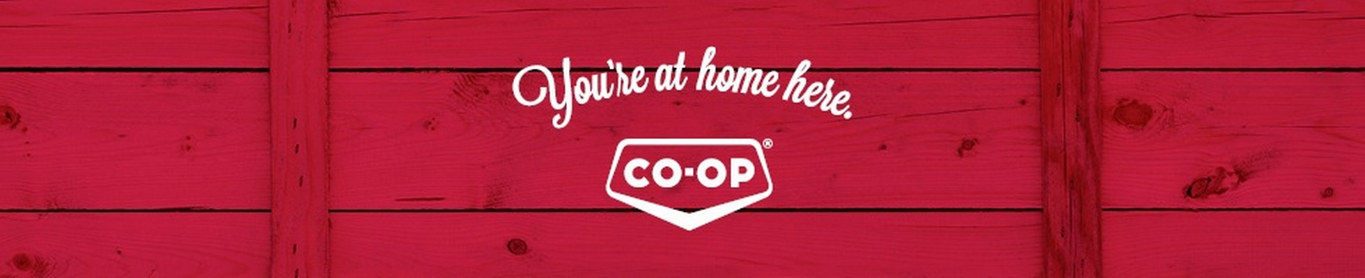 Company banner showing Visual Corporation branding