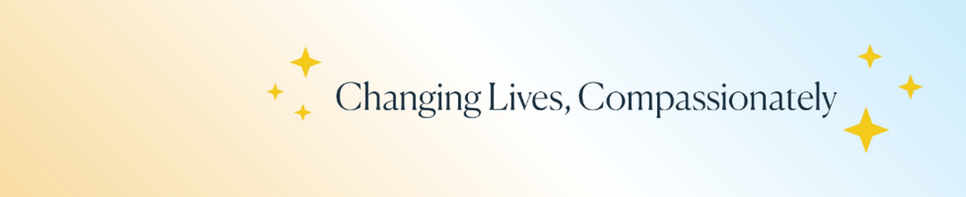 Company banner showing Visual Corporation branding