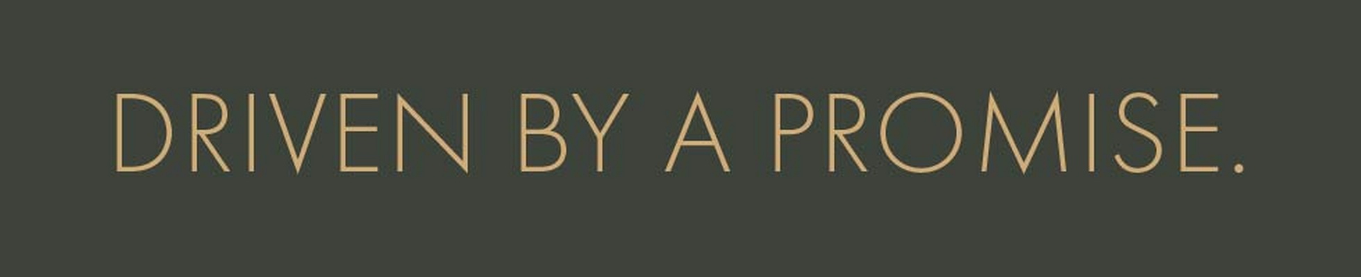 Company banner showing Visual Corporation branding