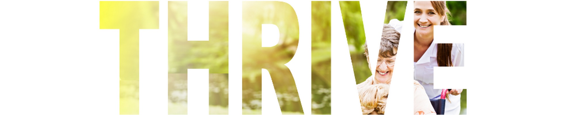 Company banner showing Visual Corporation branding