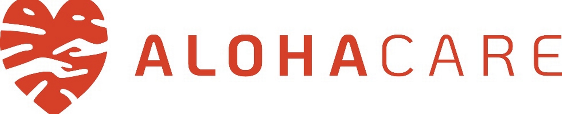 Company banner showing Visual Corporation branding