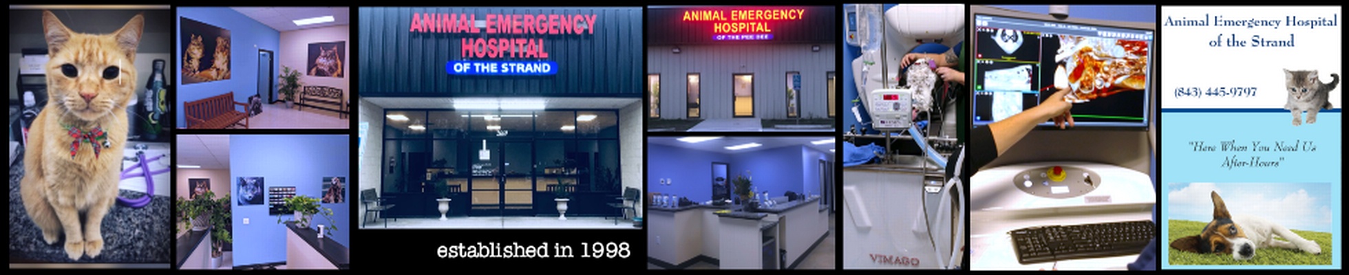 Animal emergency hospital store of the strand