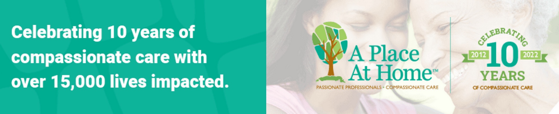 Company banner showing Visual Corporation branding