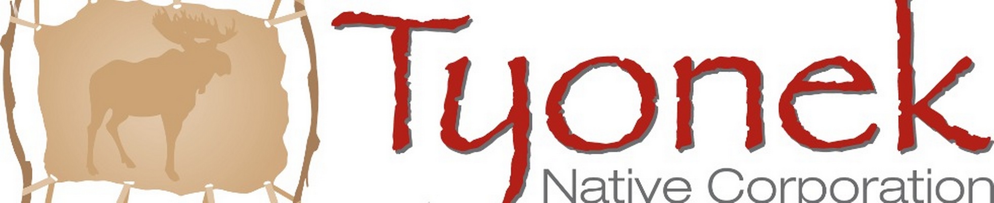 Company banner showing Visual Corporation branding