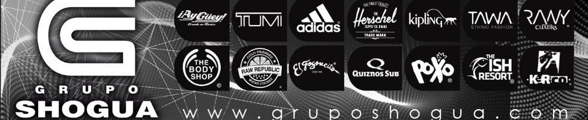 Company banner showing Visual Corporation branding