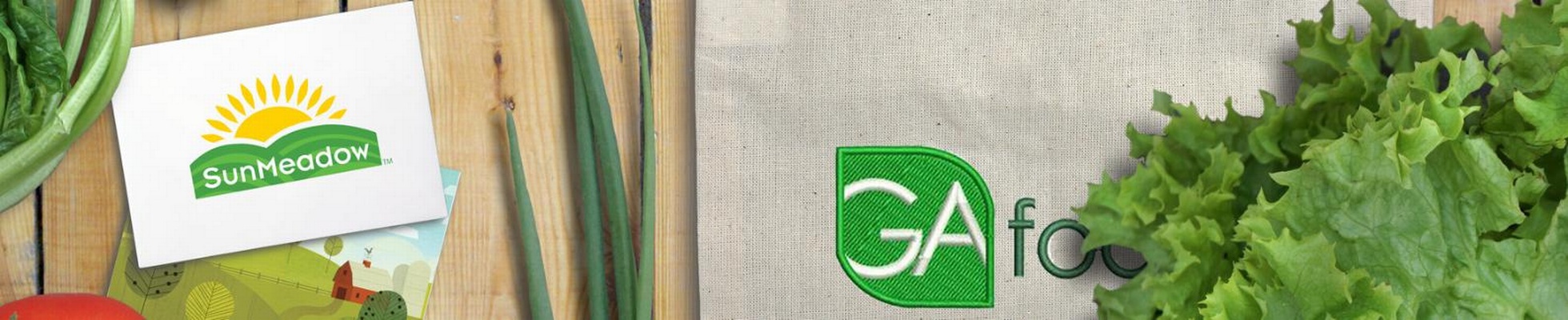 Company banner showing Visual Corporation branding
