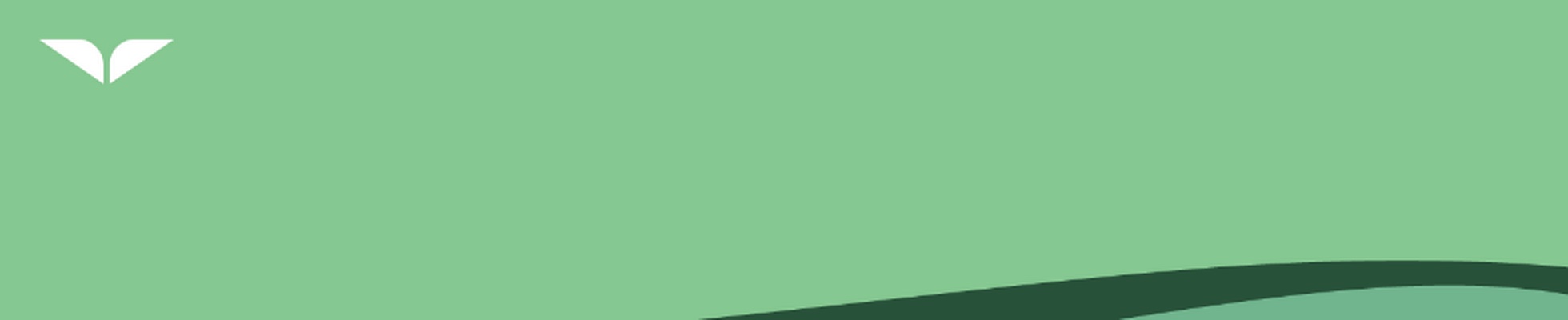 Company banner showing Visual Corporation branding