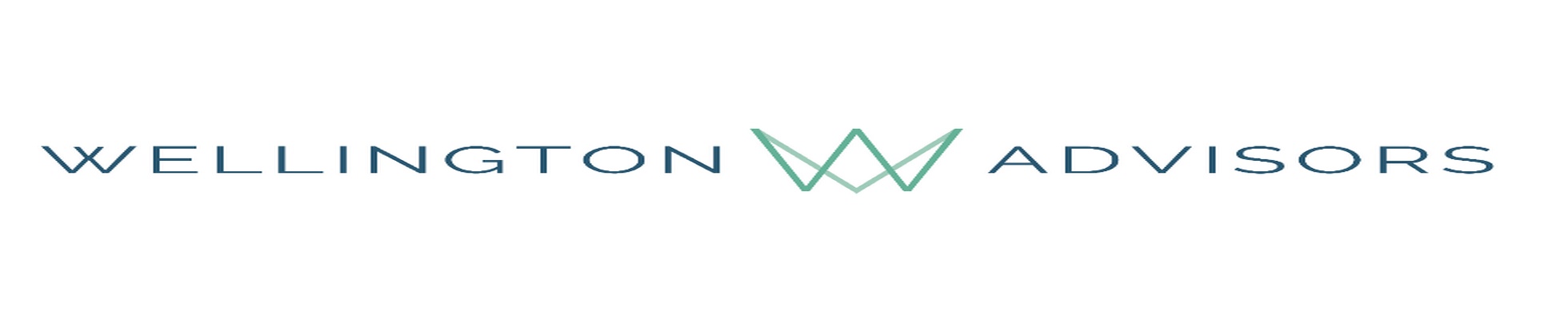 Company banner showing Visual Corporation branding