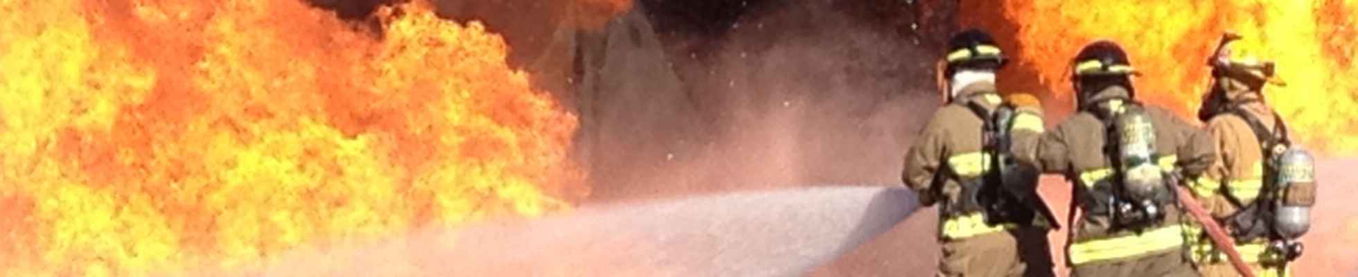 Pro-Tec Fire Services, Inc. logo