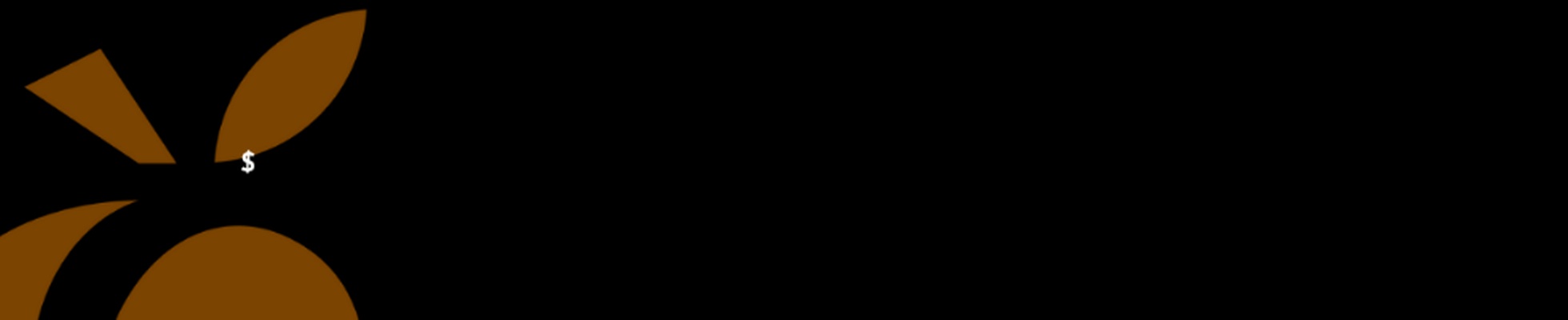 Company banner showing Visual Corporation branding