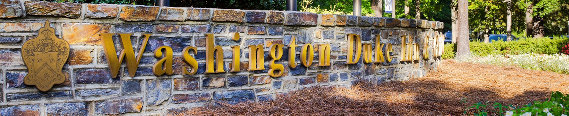 Company banner showing Visual Corporation branding