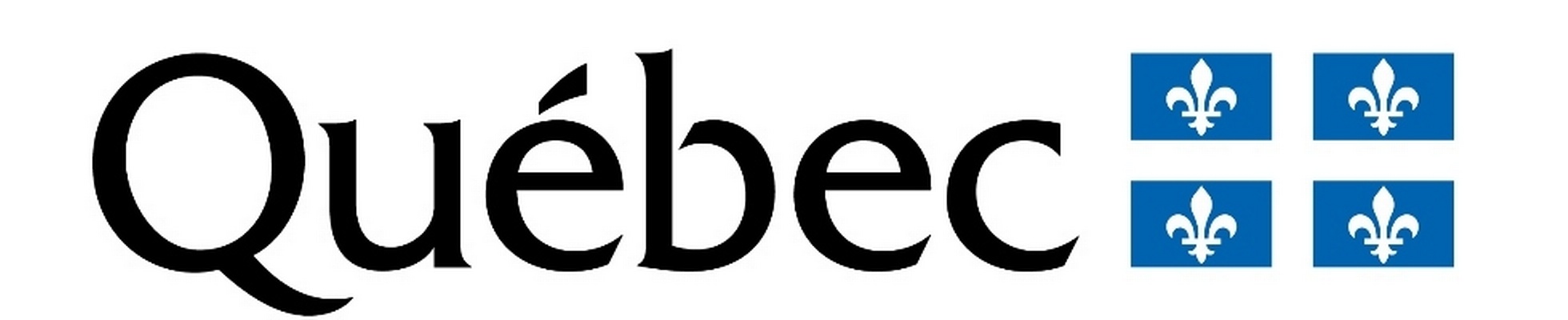 Company banner showing Visual Corporation branding