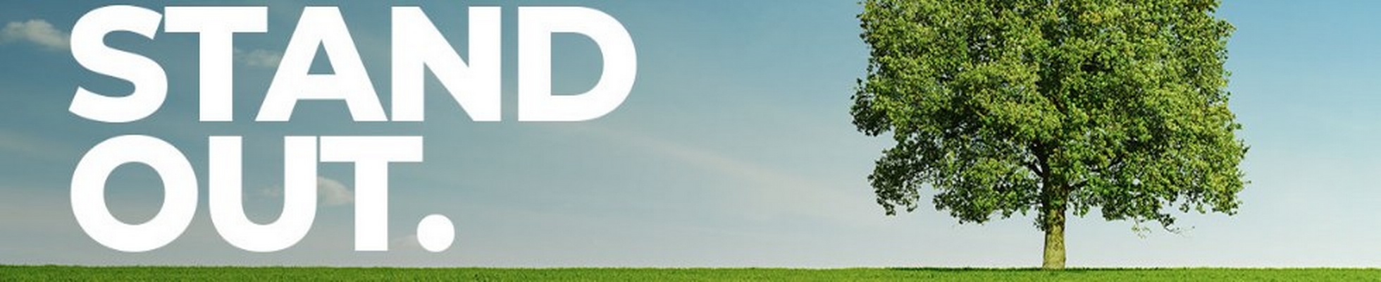 Company banner showing Visual Corporation branding