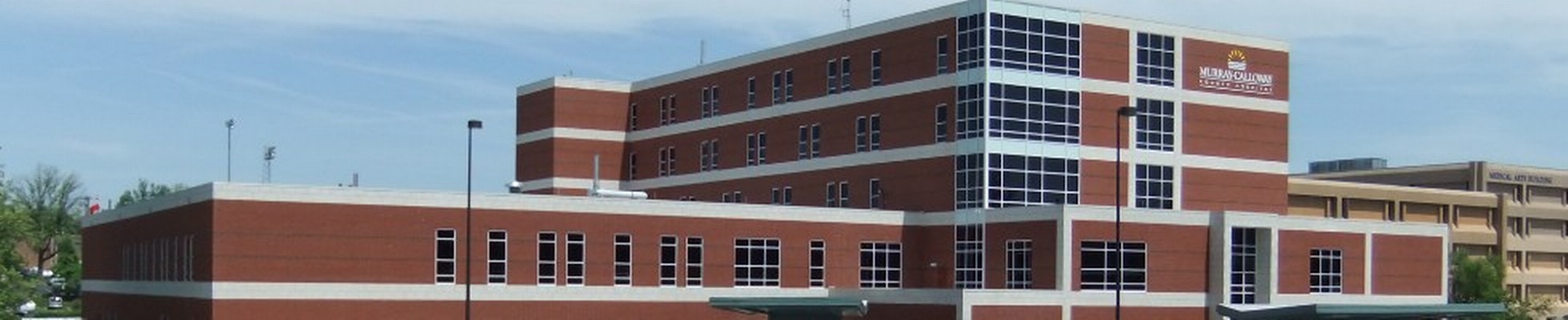 Company banner showing Visual Corporation branding