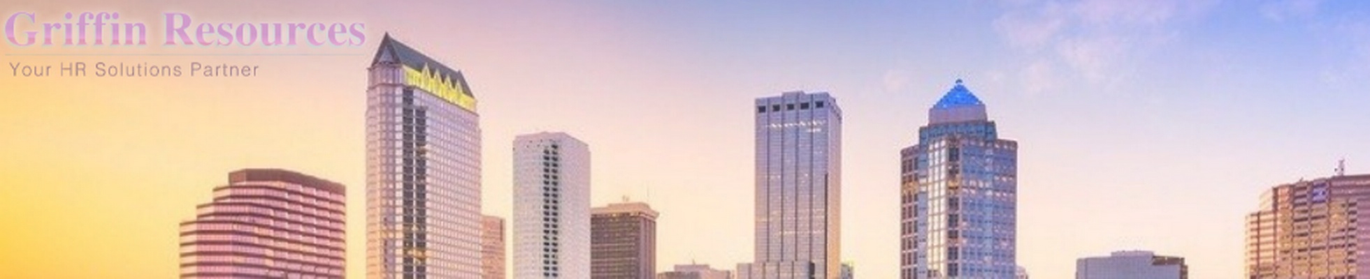 Company banner showing Visual Corporation branding