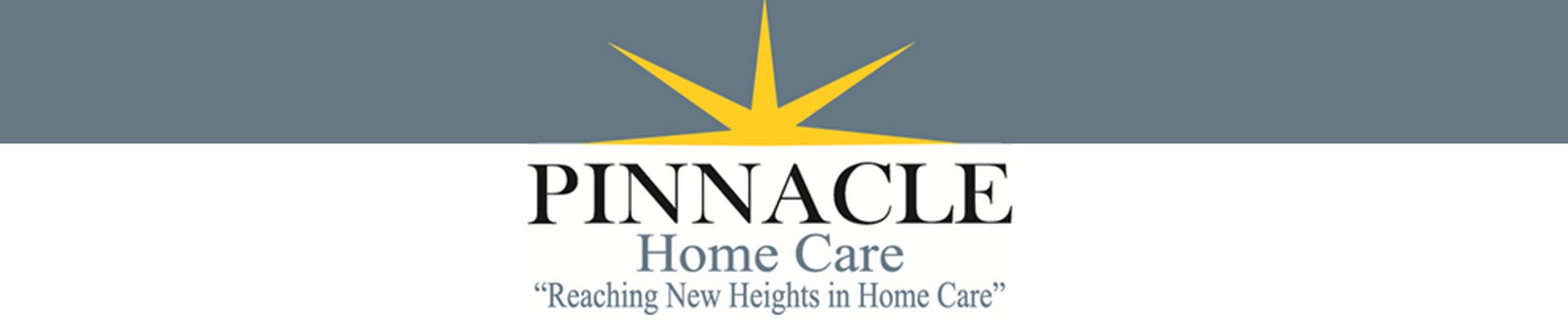 Company banner showing Visual Corporation branding