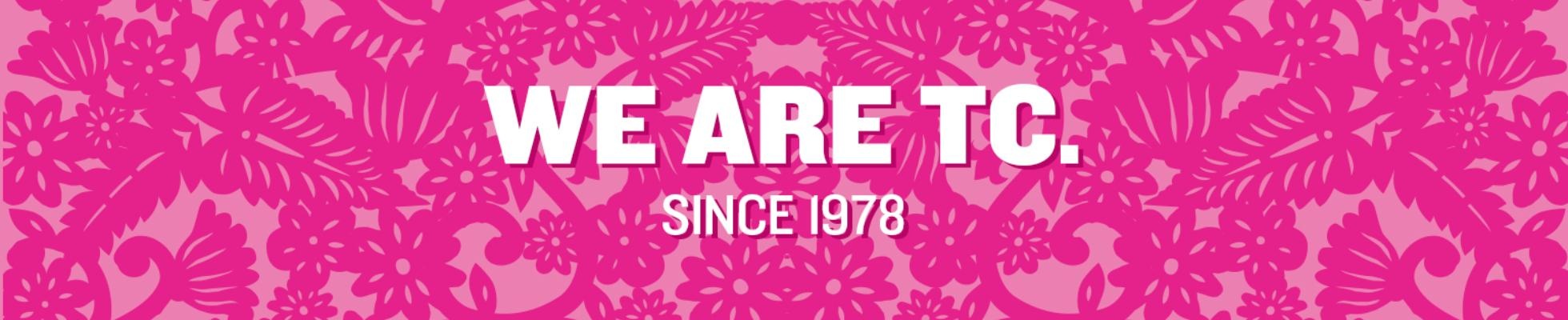 Company banner showing Visual Corporation branding