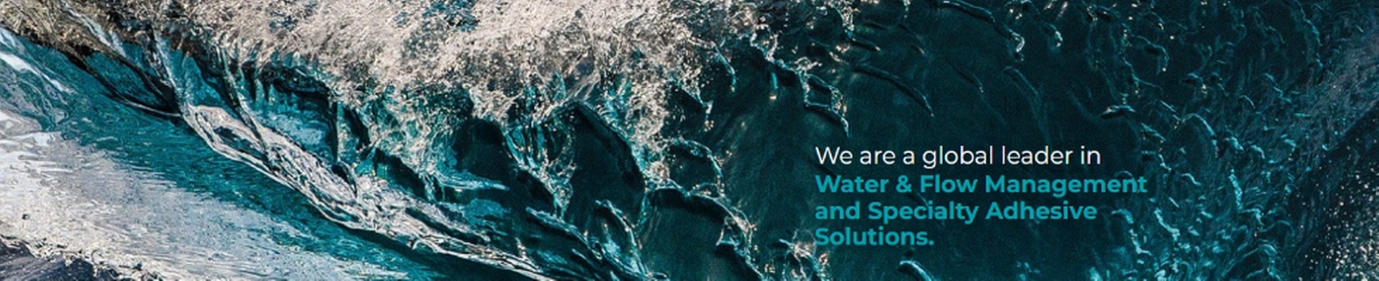 Company banner showing Visual Corporation branding