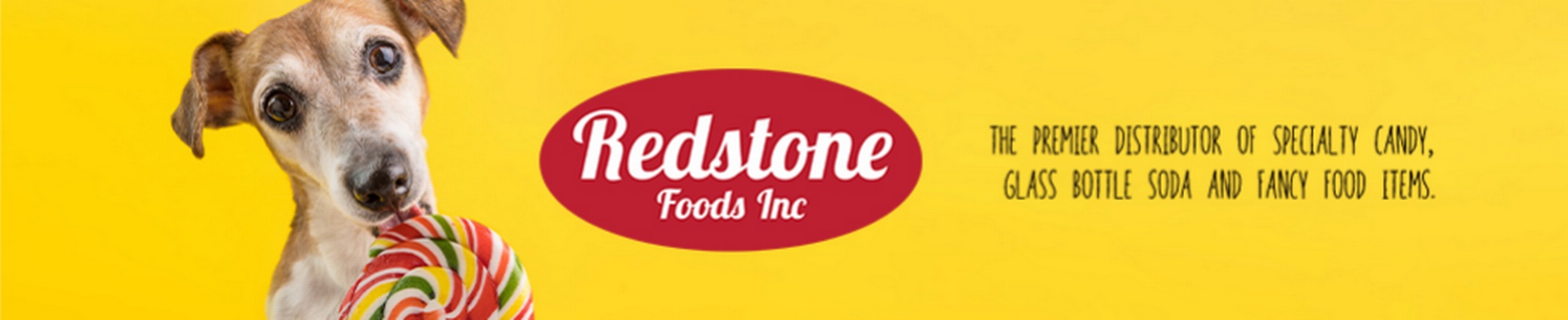 Company banner showing Visual Corporation branding