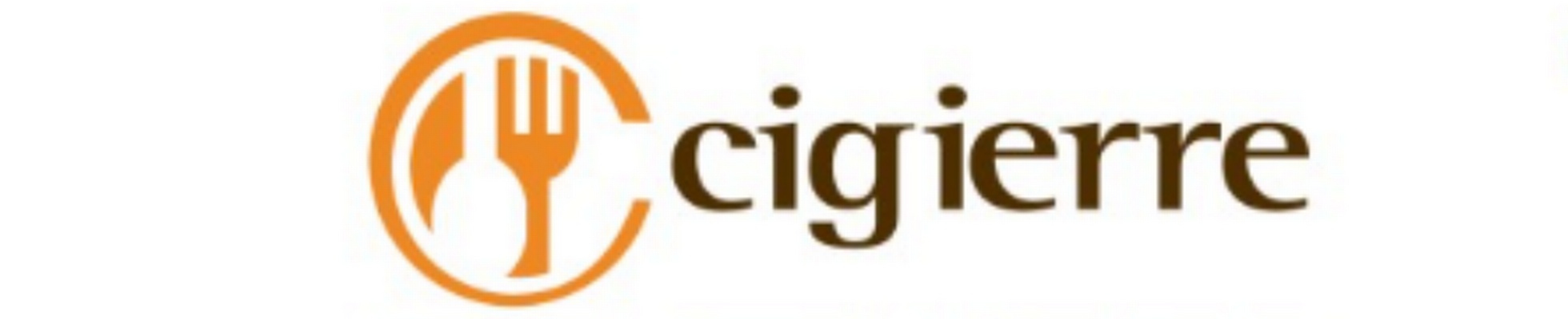Company banner showing Visual Corporation branding