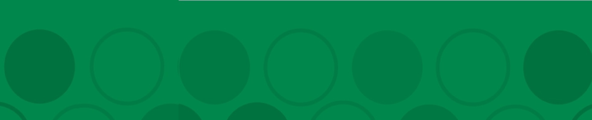 Company banner showing Visual Corporation branding