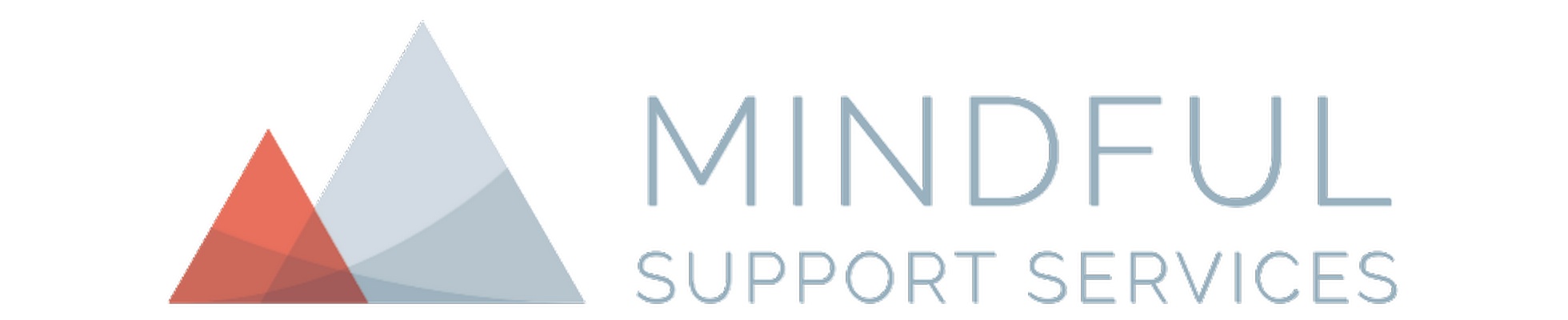 Company banner showing Visual Corporation branding